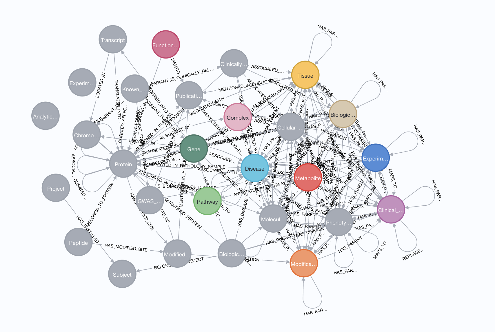 Graph Neural Networks for Disease Diagnosis project